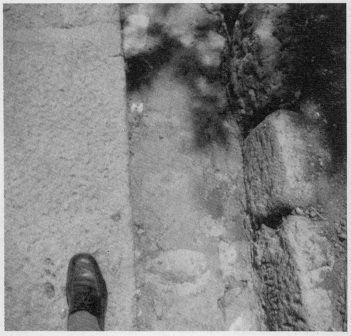 12. Schritt, Bild: Paestum 1971 © Melusine Huss.