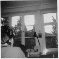 1 Anruf von den Pappeln, zu ihnen hinauszukommen.