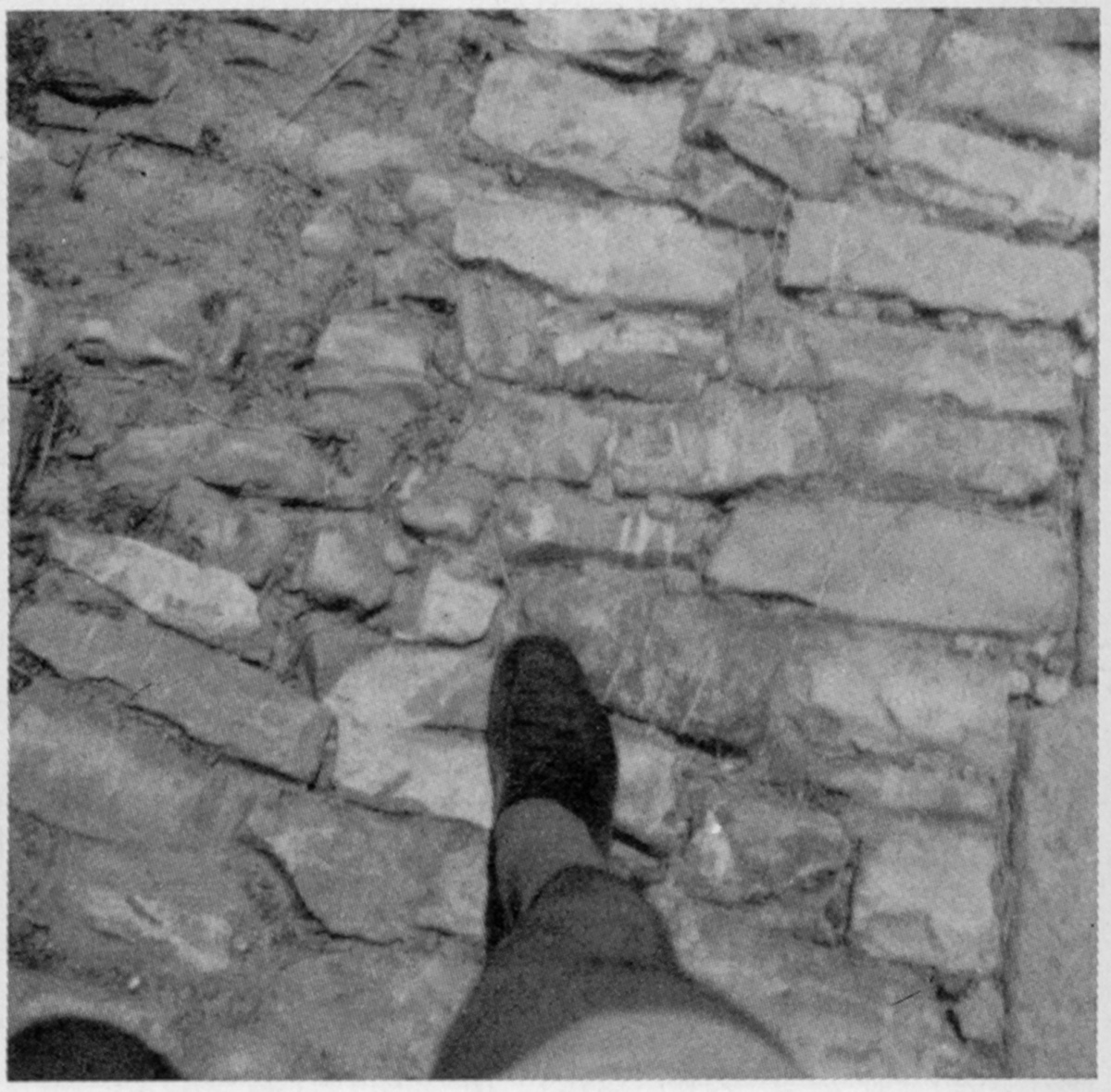 14. Schritt, Bild: Paestum 1971 © Melusine Huss.