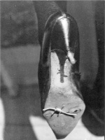 "Des lieben Springer geteiltes Deutschland"