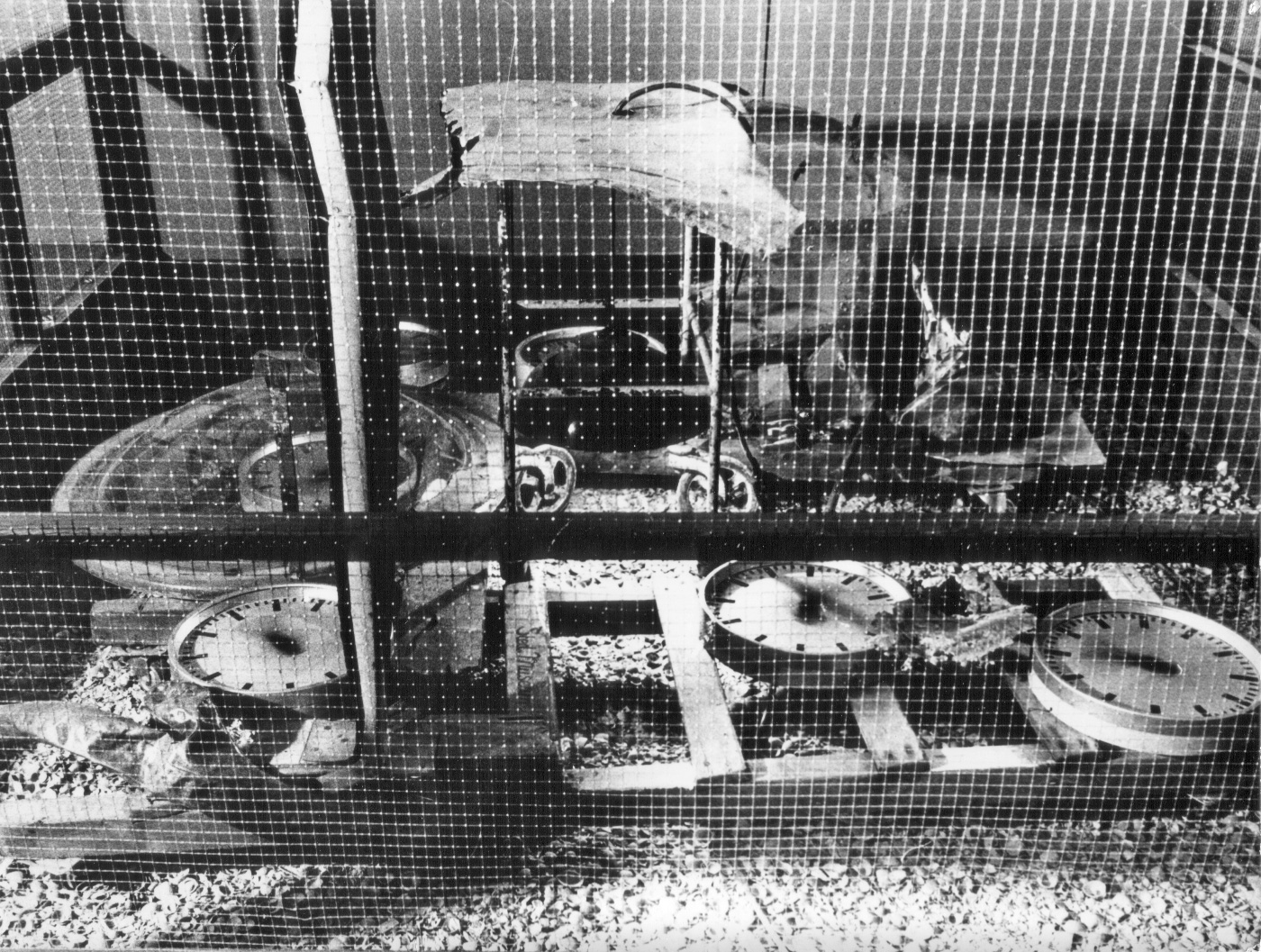 Brock und Spoerri in Paris, Bild: Paris © Vera Spoerri.