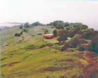 Petrarca-Preis 1977, Tusculum