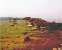 Petrarca-Preis 1977, Tusculum