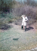 Merianpark Februar-März 1984